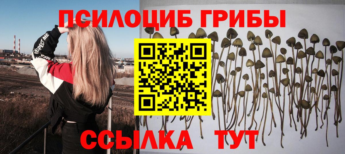 Псилоцибиновые грибы GOLDEN TEACHER  Вход с VPN  Лесосибирск 