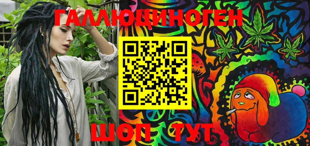 Галлюциногенные грибы Psilocybe Лесосибирск